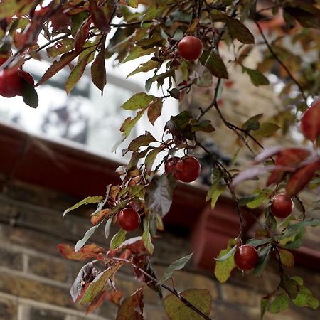 Beautiful London Home Sleeps 6, 2 Minutes To Metro Dış mekan fotoğraf