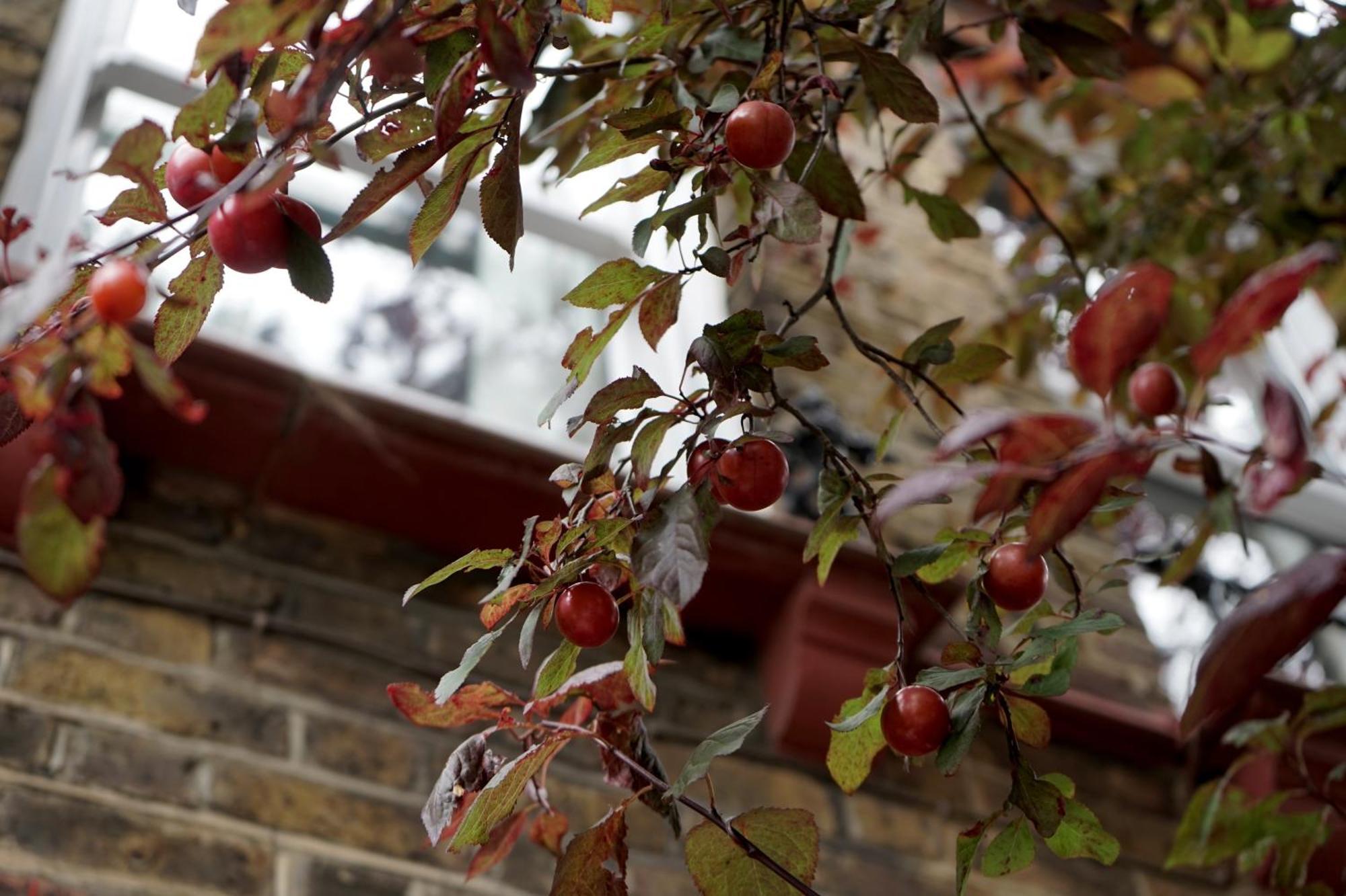 Beautiful London Home Sleeps 6, 2 Minutes To Metro Dış mekan fotoğraf